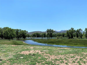 Flying W Ranch -river