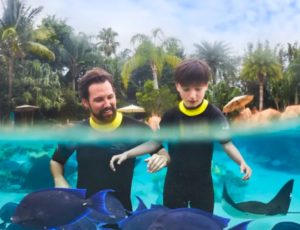 Things to do in Orlando