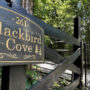20 Wooded Acres in Tennessee