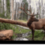 M4 Ranch Group – New Listing!