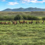 162± acres | Westcliffe, Colorado
