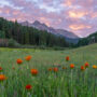 Telluride Real Estate News – July 2026