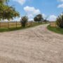 Horse Ranches in September