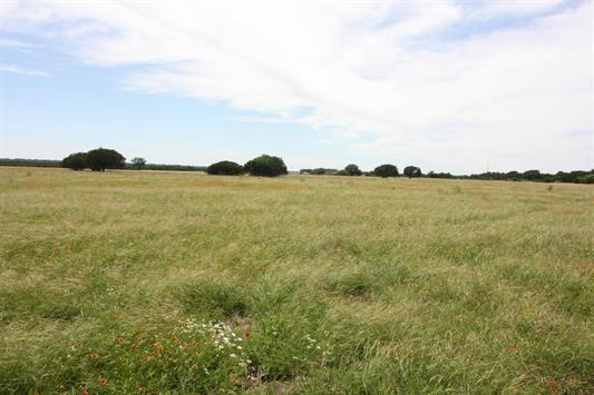 Wide open grassy field under a partly cloudy sky with small clusters of trees on the horizon.