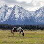 Land, Farms and Ranches – Wyoming