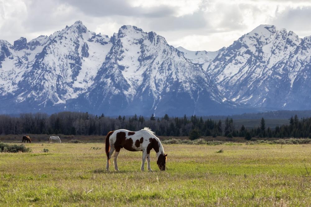 Wyoming