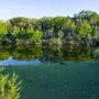 472 Acres – Lometa,Texas